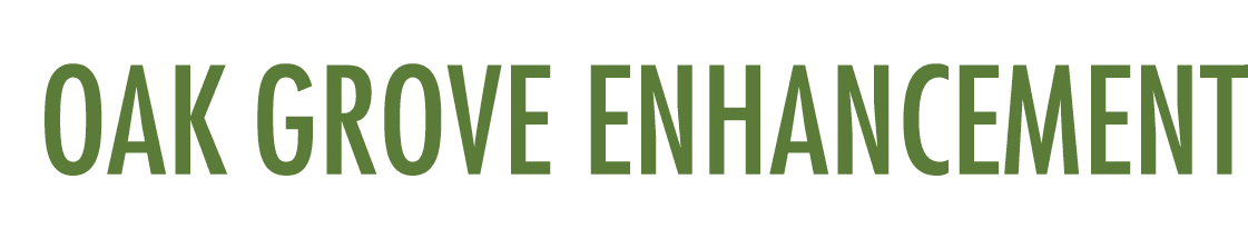 Oak Grove Enhancement 