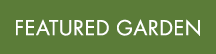 FEATURED GARDEN