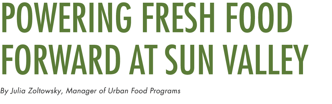 Powering Fresh Food Forward at Sun Valley By Julia Zoltowsky, Manager of Urban Food Programs