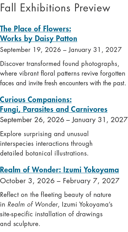 Fall Exhibitions Preview The Place of Flowers: Works by Daisy Patton September 19, 2026 – January 31, 2027 Discover t...