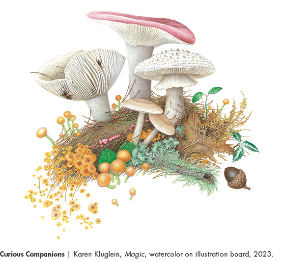 Curious Companions | Karen Kluglein, Magic, watercolor on illustration board, 2023.