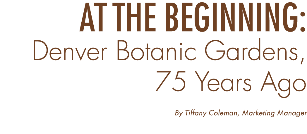 At the Beginning: Denver Botanic Gardens, 75 Years Ago By Tiffany Coleman, Marketing Manager