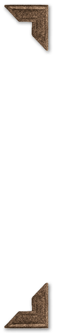 Group
