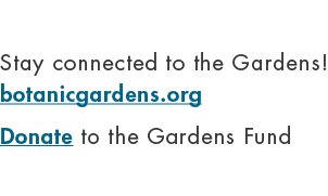 Stay connected to the Gardens! botanicgardens.org Donate to the Gardens Fund