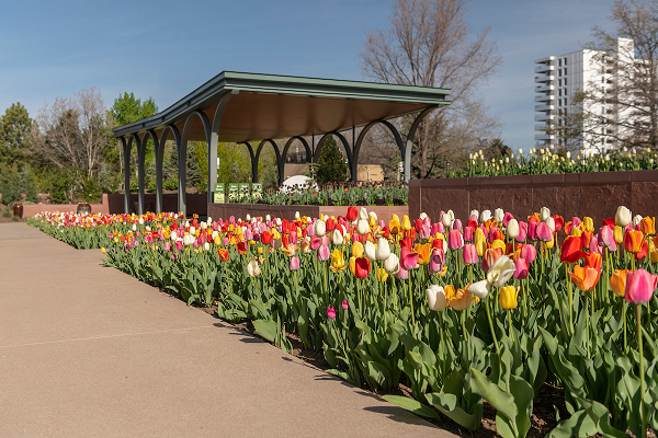 Annuals Garden and Pavilion in the spring