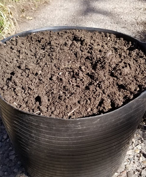 fresh compost