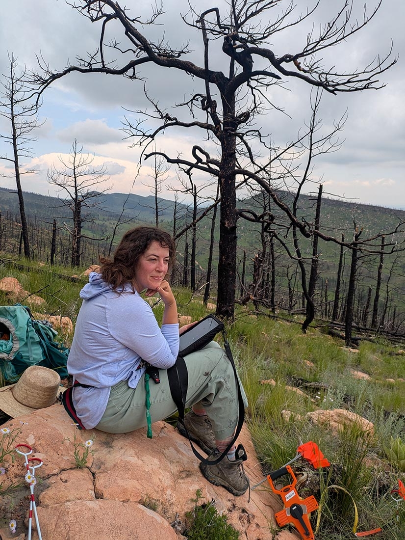 woman sitting on rock with digital tablet and dead trees in background
