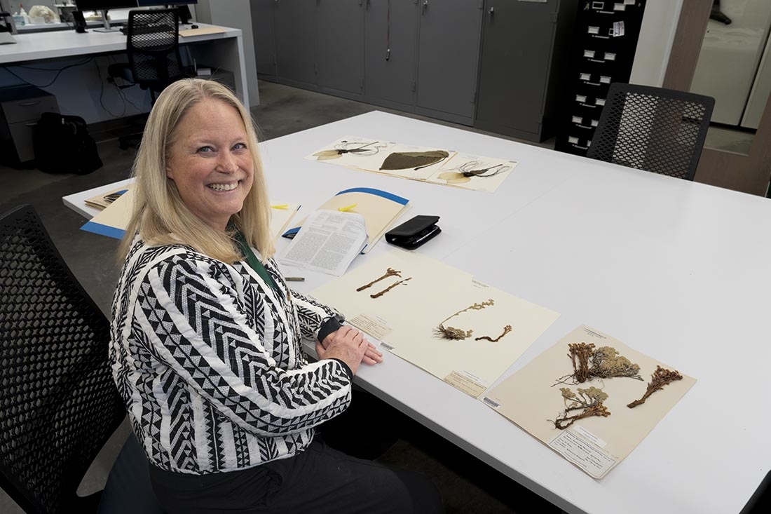 blond woman sitting at white table looking at pressed flora specimens