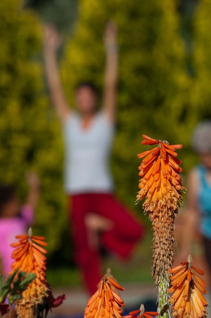 Torch lilies in foreground with woman doing yoga in background