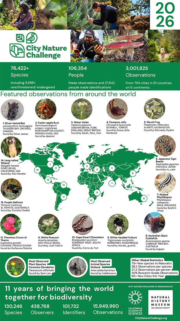 Infographic results of City Nature Challenge 2026