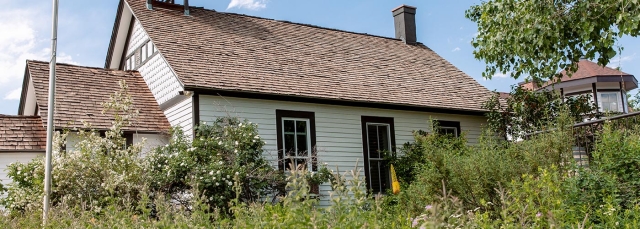Schoolhouse with green bushes in the foreground