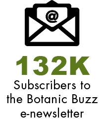 132K Subscribers to the Botanic Buzz e-newslette