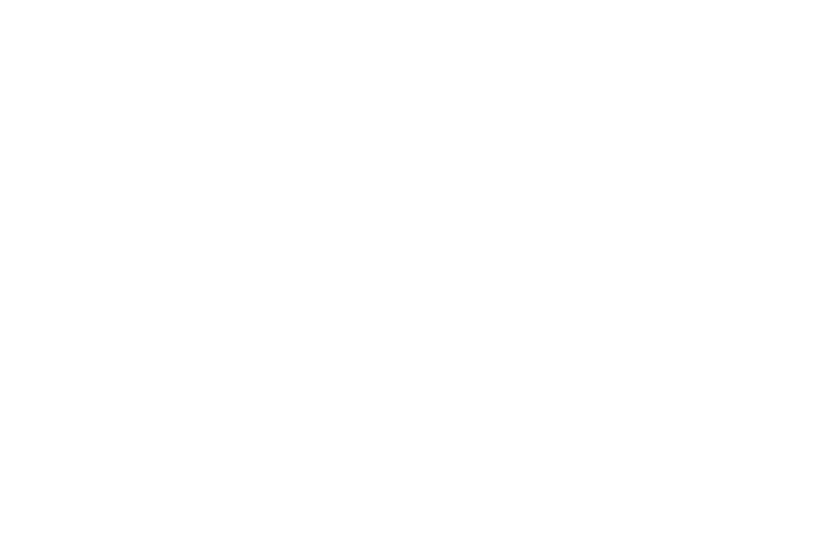 Plant Press Family Activity By Chelsey Bardgett, Family and Children s Program Instructor
