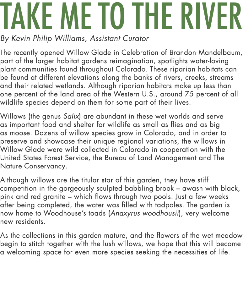 Take Me to the River By Kevin Philip Williams, Assistant Curator The recently opened Willow Glade in Celebration of B...