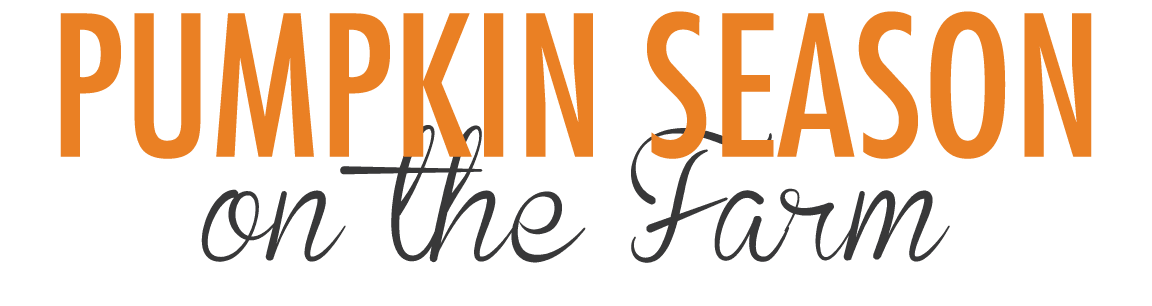 Pumpkin Season on the Farm 