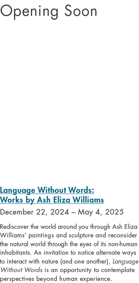 Opening Soon Language Without Words: Works by Ash Eliza Williams December 22, 2024 – May 4, 2025 Rediscover the world...