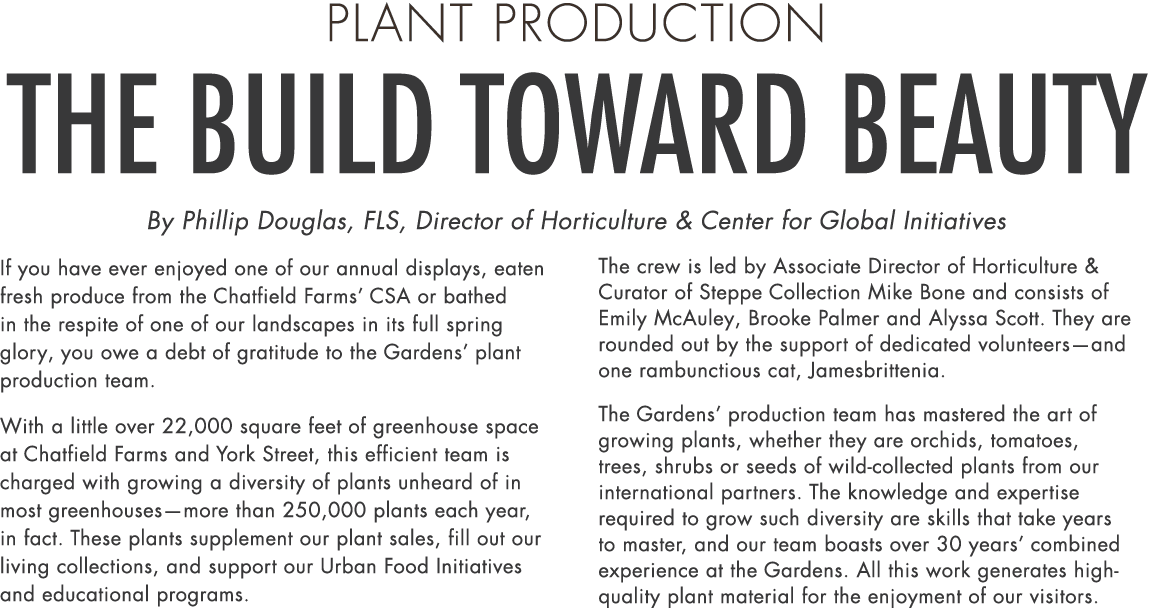 Plant Production The Build Toward Beauty By Phillip Douglas, FLS, Director of Horticulture & Center for Global Initia...
