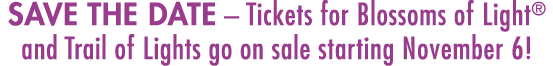 SAVE THE DATE – Tickets for Blossoms of Light® and Trail of Lights go on sale starting November 6!