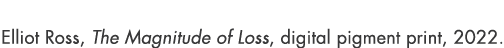 Elliot Ross, The Magnitude of Loss, digital pigment print, 2022.