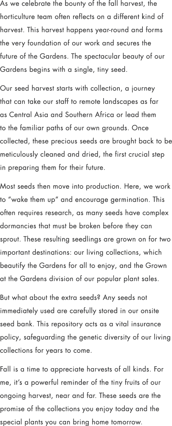 As we celebrate the bounty of the fall harvest, the horticulture team often reflects on a different kind of harvest. ...