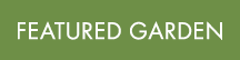 FEATURED GARDEN