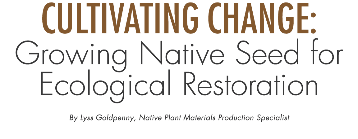 Cultivating Change: Growing Native Seed for Ecological Restoration By Lyss Goldpenny, Native Plant Materials Producti...