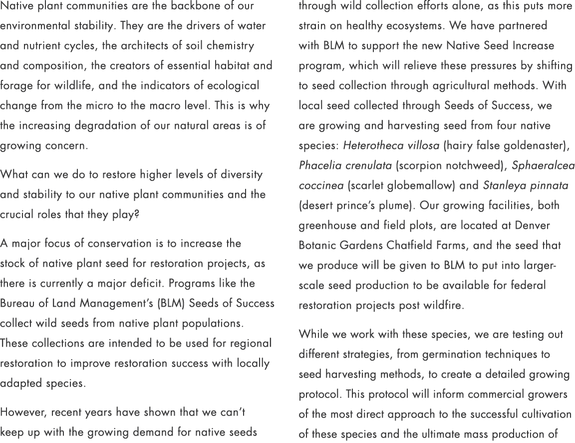 Native plant communities are the backbone of our environmental stability. They are the drivers of water and nutrient ...