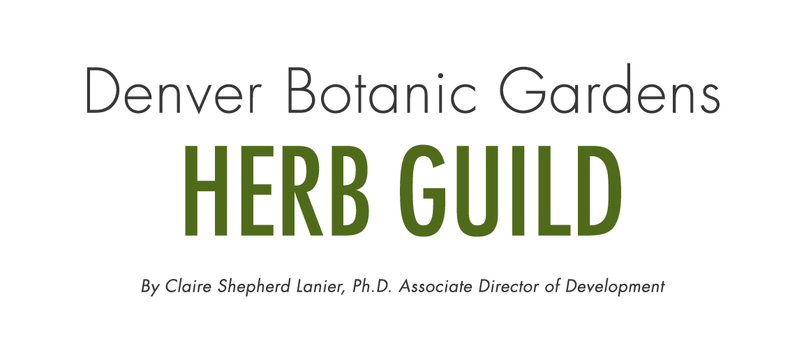 Denver Botanic Gardens Herb Guild By Claire Shepherd Lanier, Ph.D. Associate Director of Development
