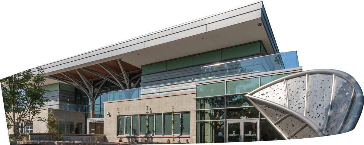 Leaf by  Jason Klimoski & Lesley Chang, Studio KCA, 2020