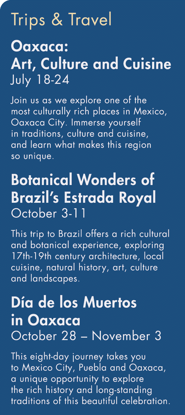 Trips & Travel Oaxaca: Art, Culture and Cuisine July 18-24 Join us as we explore one of the most culturally rich plac   