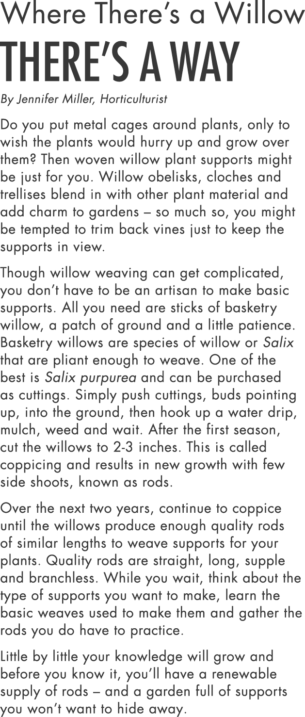 Where There s a Willow There s a Way By Jennifer Miller, Horticulturist Do you put metal cages around plants, only to   