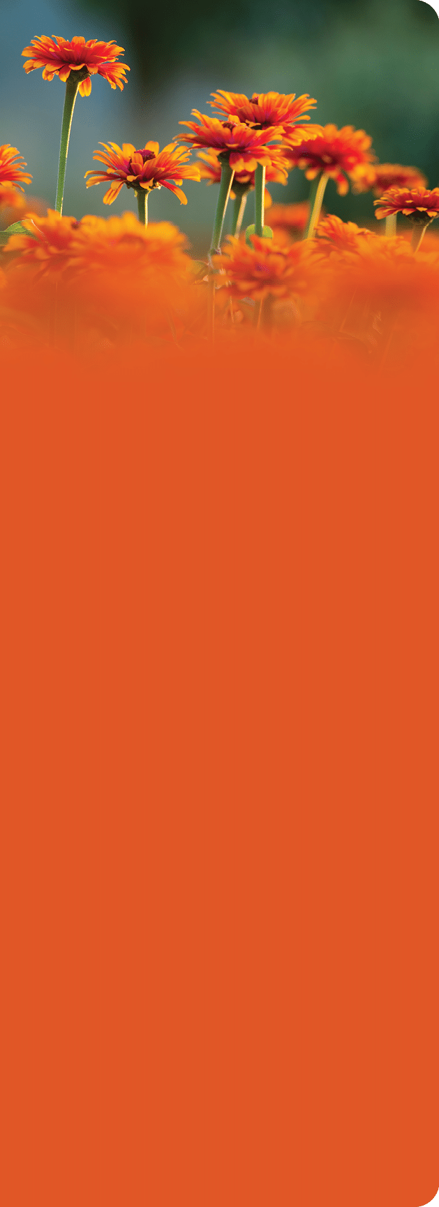 Denver Botanic Gardens