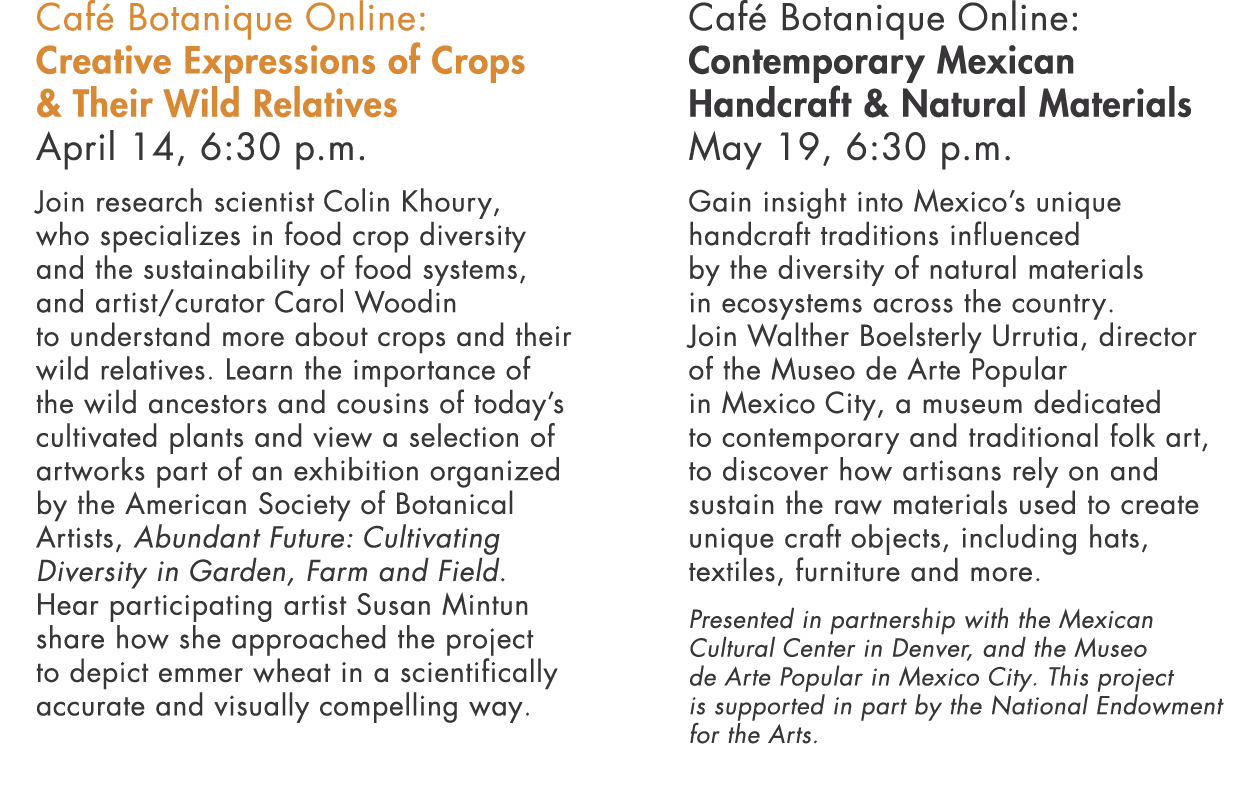 Café Botanique Online: Creative Expressions of Crops & Their Wild Relatives April 14, 6:30 p m  Join research scienti   