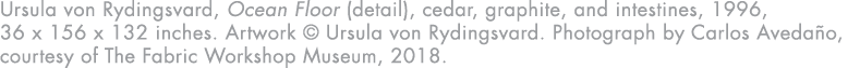 Ursula von Rydingsvard, Ocean Floor (detail), cedar, graphite, and intestines, 1996, 36 x 156 x 132 inches  Artwork     