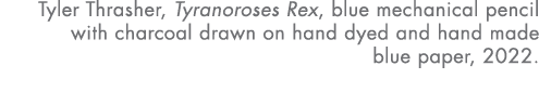 Tyler Thrasher, Tyranoroses Rex, blue mechanical pencil with charcoal drawn on hand dyed and hand made blue paper, 2022.