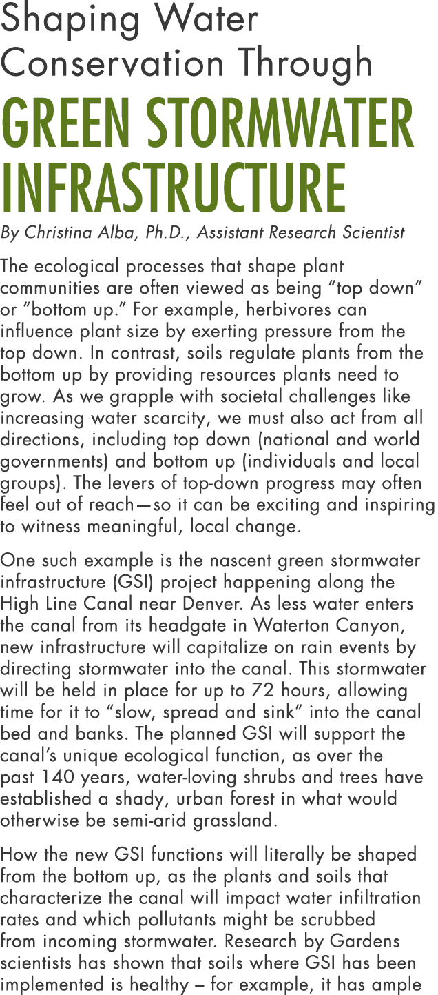 Shaping Water Conservation Through Green Stormwater Infrastructure By Christina Alba, Ph.D., Assistant Research Scien...