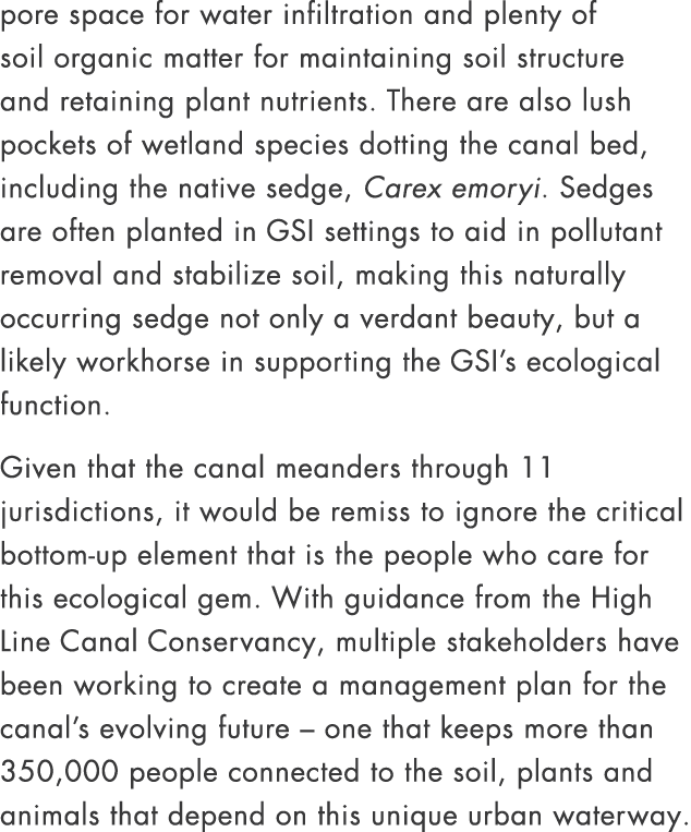 pore space for water infiltration and plenty of soil organic matter for maintaining soil structure and retaining plan...