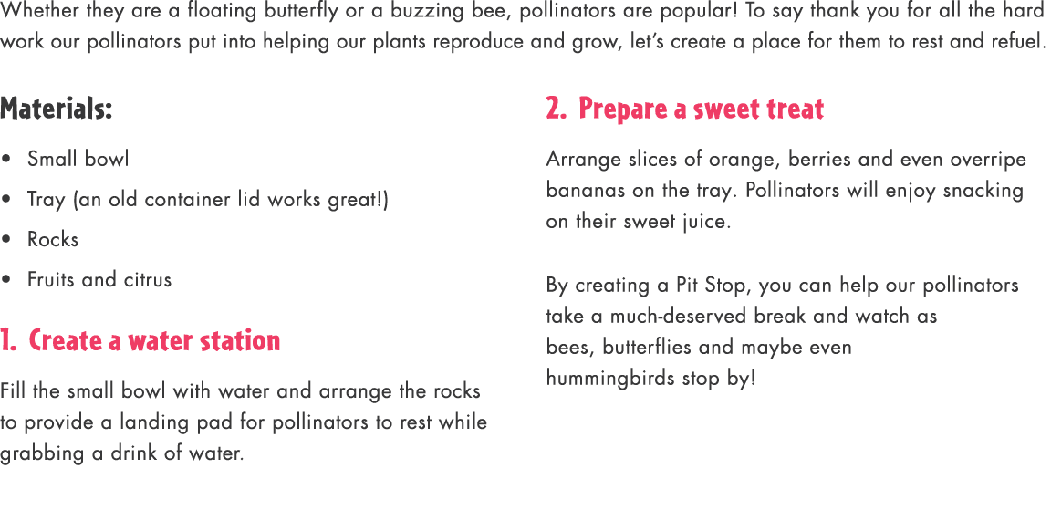 Whether they are a floating butterfly or a buzzing bee, pollinators are popular! To say thank you for all the hard wo...