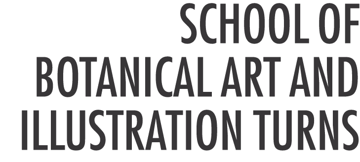 School of Botanical Art and Illustration Turns