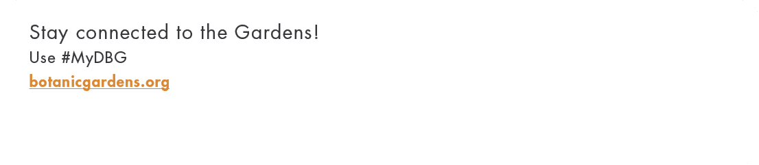 Stay connected to the Gardens  Use #MyDBG botanicgardens or