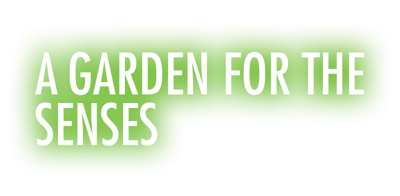 A Garden for the Senses
