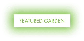 Featured Garden