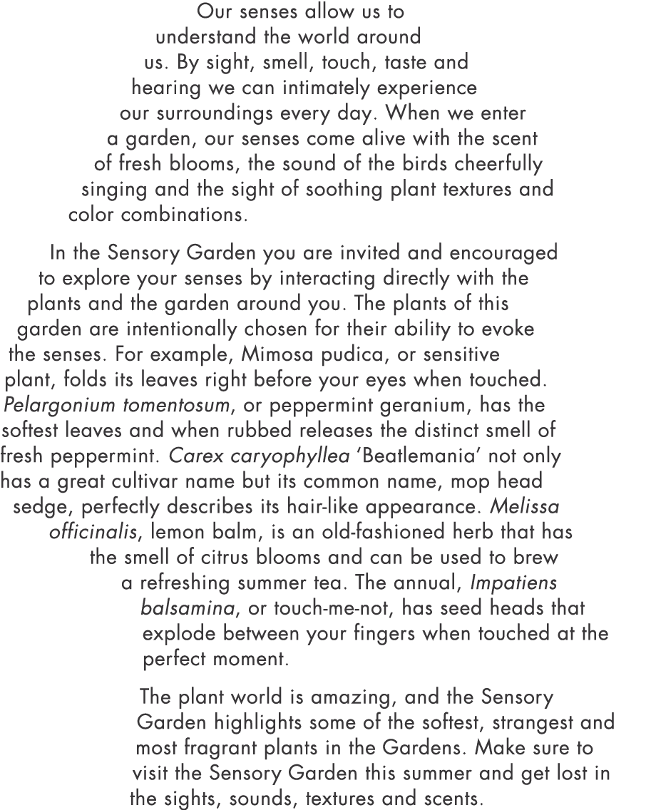 Our senses allow us to understand the world around us  By sight, smell, touch, taste and hearing we can intimately ex   