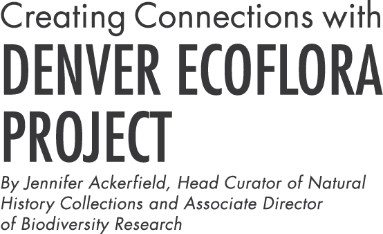 Creating Connections with Denver EcoFlora Project By Jennifer Ackerfield, Head Curator of Natural History Collections   