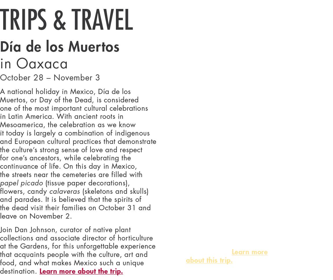 Trips & Travel Día de los Muertos in Oaxaca October 28   November 3 A national holiday in Mexico, Día de los Muertos,   