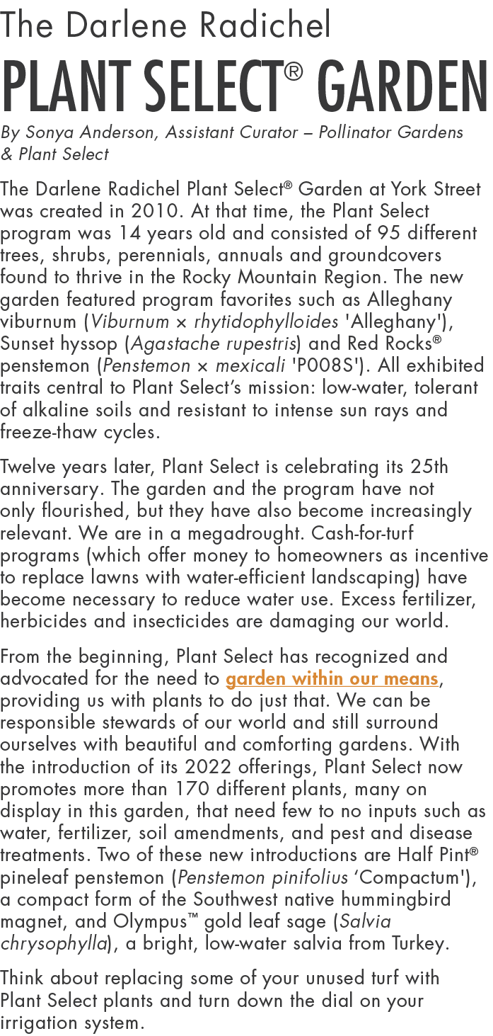 The Darlene Radichel Plant Select  Garden By Sonya Anderson, Assistant Curator   Pollinator Gardens & Plant Select Th   