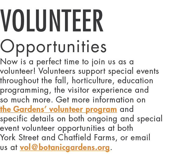 Volunteer Opportunities Now is a perfect time to join us as a volunteer  Volunteers support special events throughout   