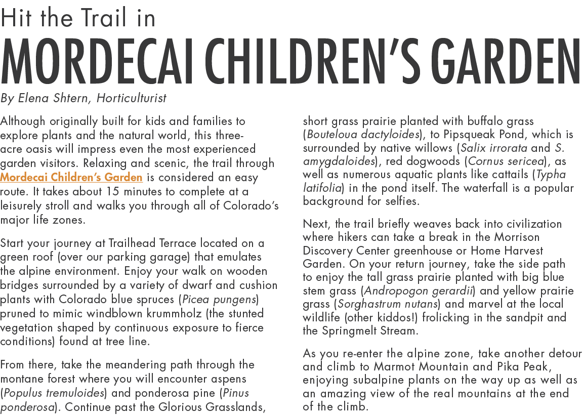 Hit the Trail in Mordecai Children’s Garden By Elena Shtern, Horticulturist Although originally built for kids and fa...