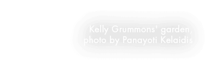 Kelly Grummons' garden, photo by Panayoti Kelaidis 