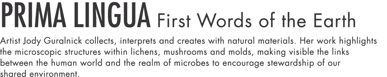 Prima Lingua First Words of the Earth Artist Jody Guralnick collects, interprets and creates with natural materials     